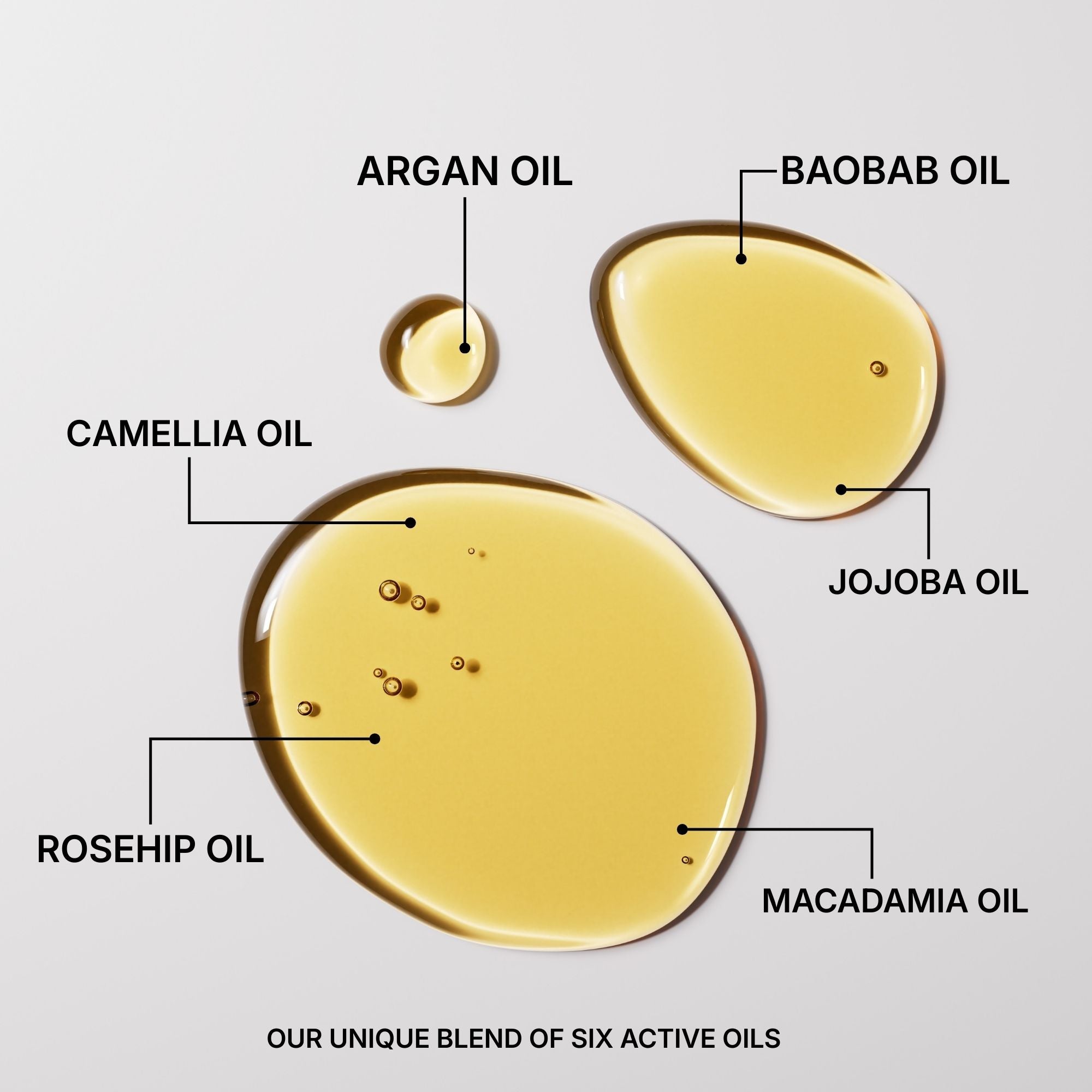 Badolie Discovery Set