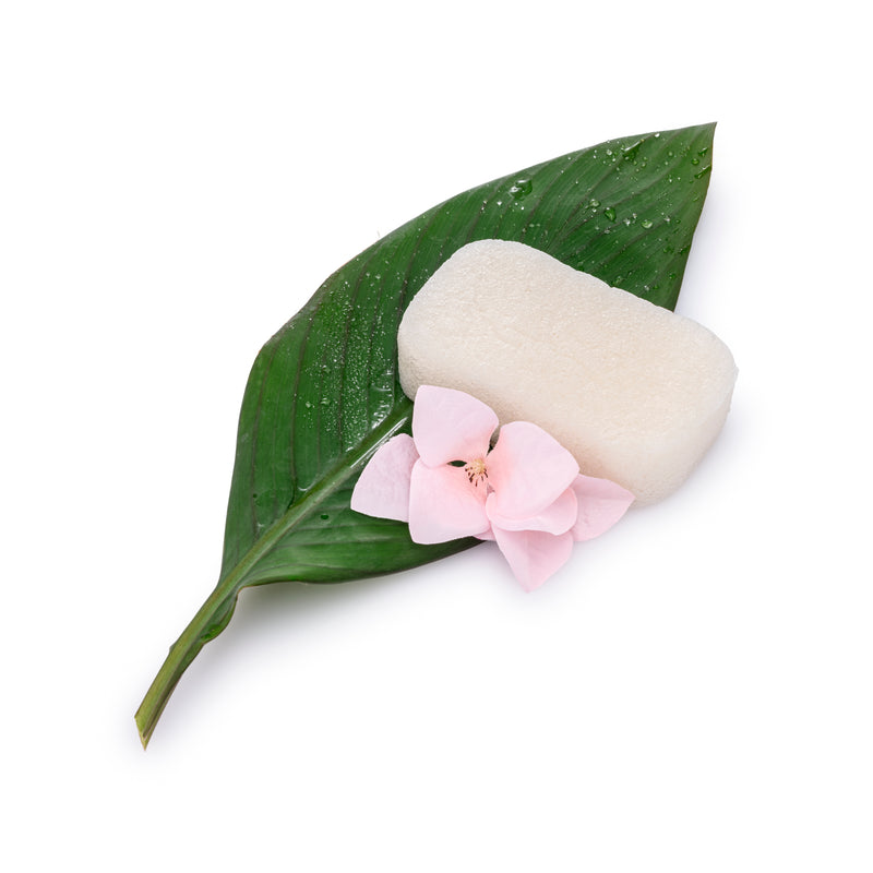 Konjac Lichaamsspons